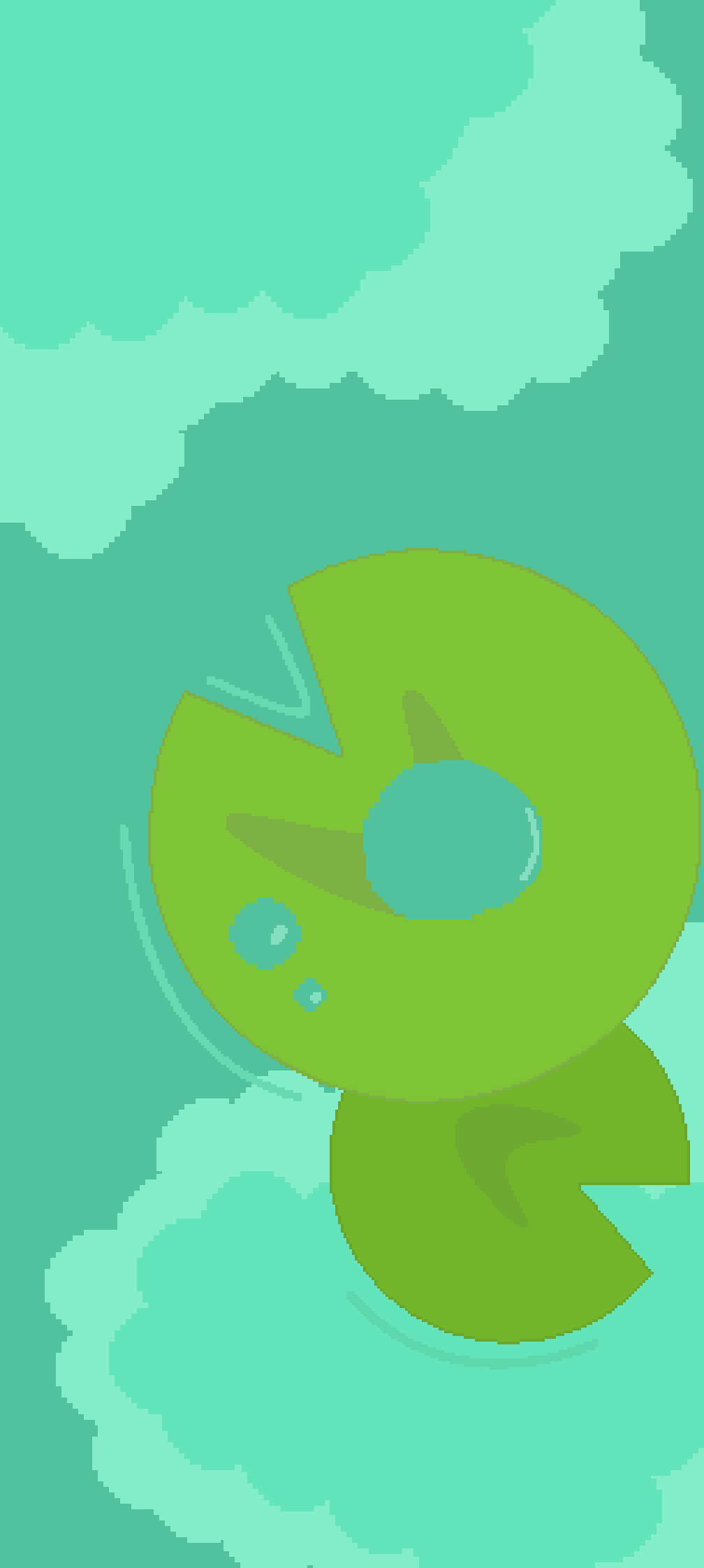 pond